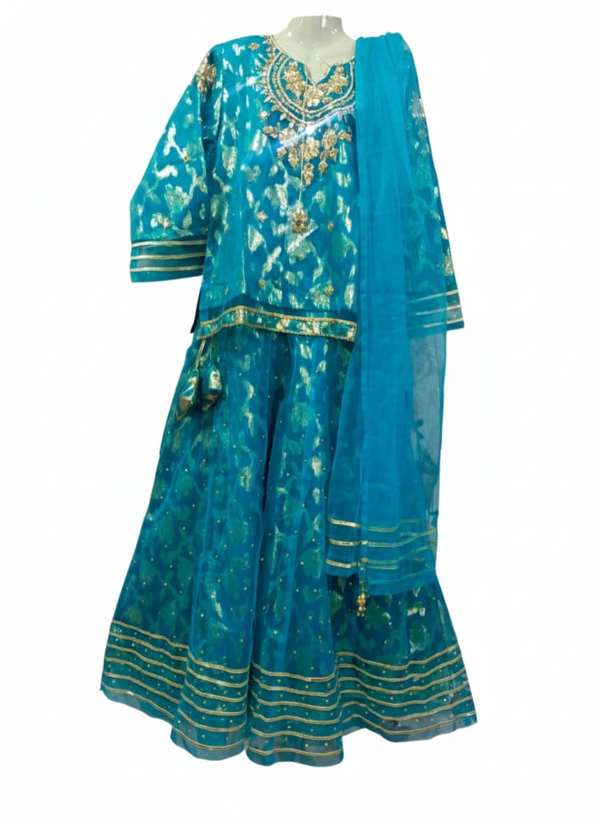 ✨ Organza Brosha Lehanga by Neyva Collection – Festive Elegance ✨