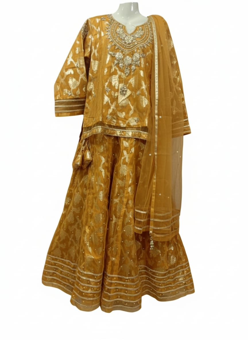 ✨ Organza Brosha Lehanga by Neyva Collection – Festive Elegance ✨